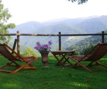 Les Myrtilles Hotel Le Bosc (Midi-Pyrenees)